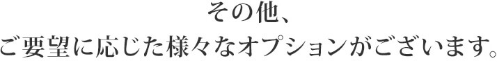 その他、ご要望に応じた様々なオプションがございます。