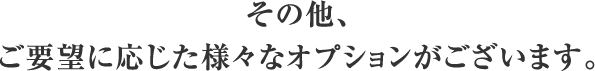 その他、ご要望に応じた様々なオプションがございます。